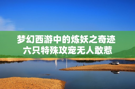 梦幻西游中的炼妖之奇迹 六只特殊攻宠无人敢惹