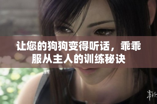 让您的狗狗变得听话，乖乖服从主人的训练秘诀