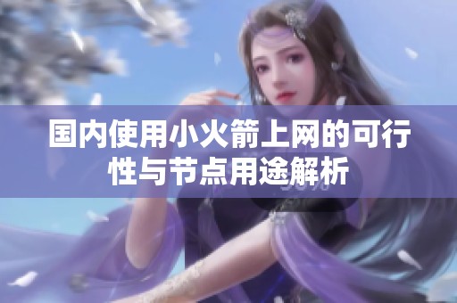 国内使用小火箭上网的可行性与节点用途解析