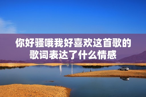 你好骚哦我好喜欢这首歌的歌词表达了什么情感