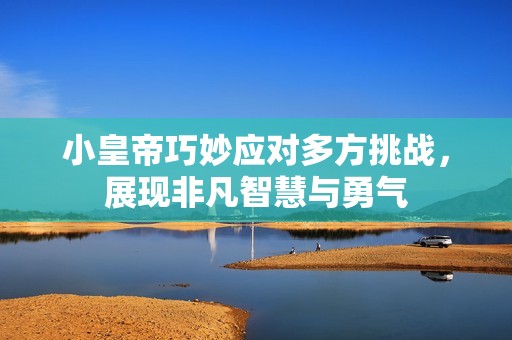 小皇帝巧妙应对多方挑战，展现非凡智慧与勇气