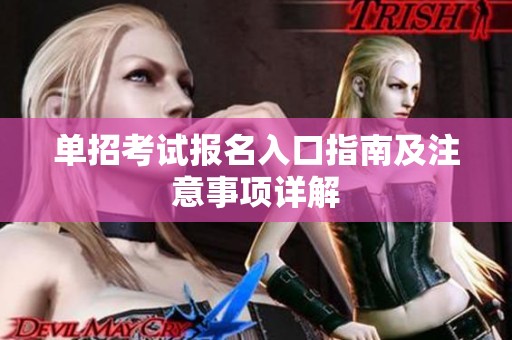 单招考试报名入口指南及注意事项详解