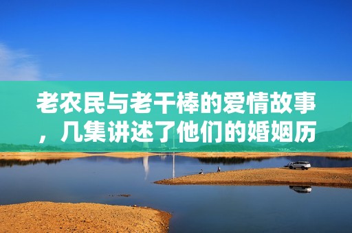 老农民与老干棒的爱情故事，几集讲述了他们的婚姻历程