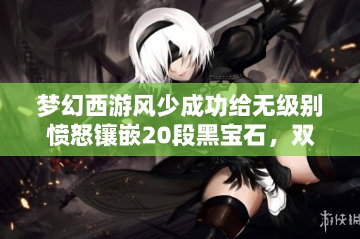 梦幻西游风少成功给无级别愤怒镶嵌20段黑宝石，双蓝字效果惊人