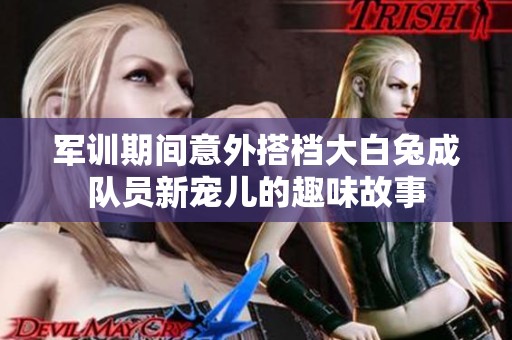 军训期间意外搭档大白兔成队员新宠儿的趣味故事