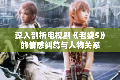 深入剖析电视剧《老婆5》的情感纠葛与人物关系