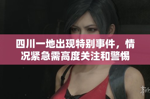 四川一地出现特别事件，情况紧急需高度关注和警惕