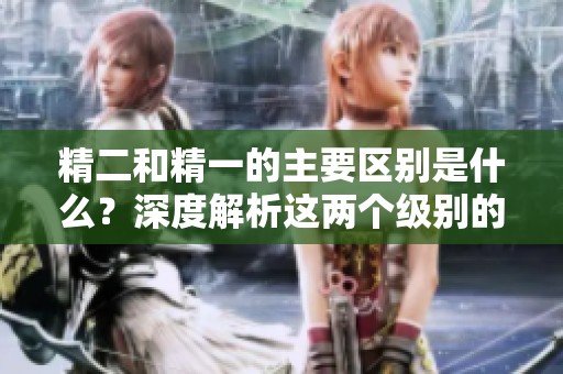 精二和精一的主要区别是什么？深度解析这两个级别的特性