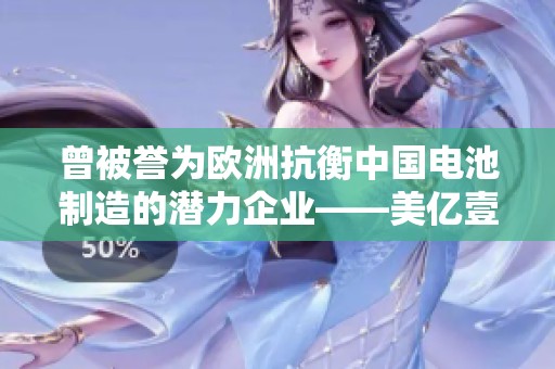 曾被誉为欧洲抗衡中国电池制造的潜力企业——美亿壹莱悠盛宇