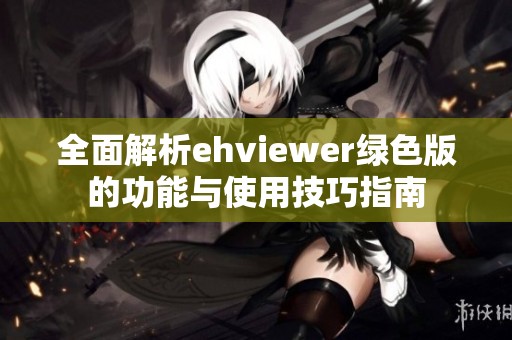 全面解析ehviewer绿色版的功能与使用技巧指南
