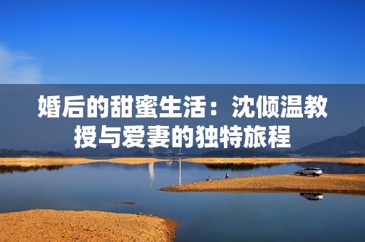 婚后的甜蜜生活：沈倾温教授与爱妻的独特旅程