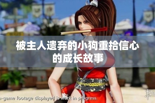 被主人遗弃的小狗重拾信心的成长故事
