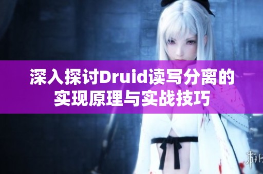 深入探讨Druid读写分离的实现原理与实战技巧