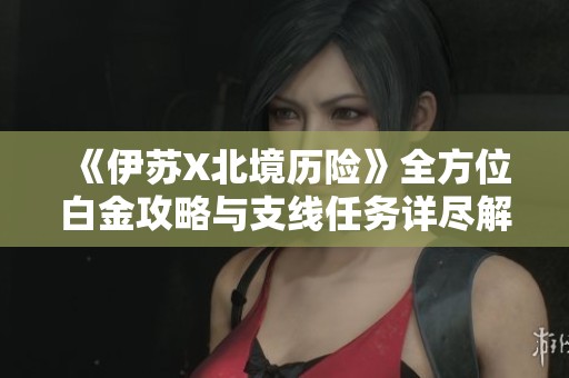 《伊苏X北境历险》全方位白金攻略与支线任务详尽解析