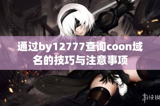 通过by12777查询coon域名的技巧与注意事项