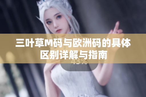 三叶草M码与欧洲码的具体区别详解与指南