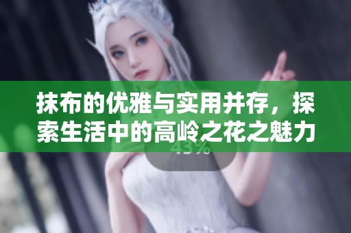 抹布的优雅与实用并存，探索生活中的高岭之花之魅力