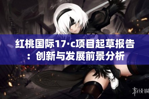 红桃国际17·c项目起草报告：创新与发展前景分析