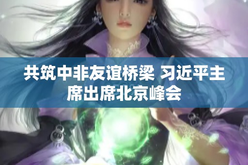 共筑中非友谊桥梁 习近平主席出席北京峰会