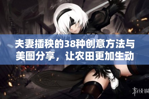 夫妻插秧的38种创意方法与美图分享，让农田更加生动