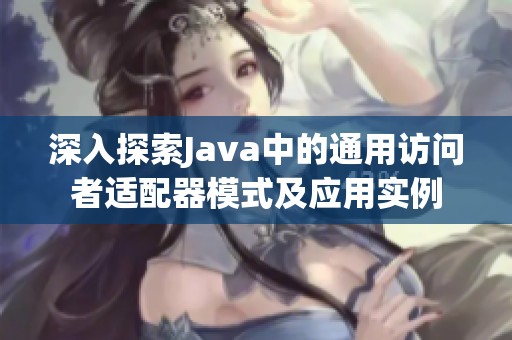 深入探索Java中的通用访问者适配器模式及应用实例