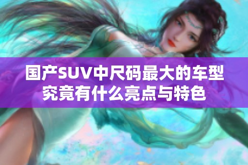 国产SUV中尺码最大的车型究竟有什么亮点与特色