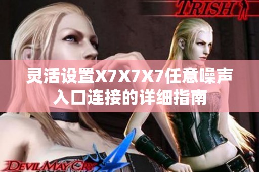 灵活设置X7X7X7任意噪声入口连接的详细指南