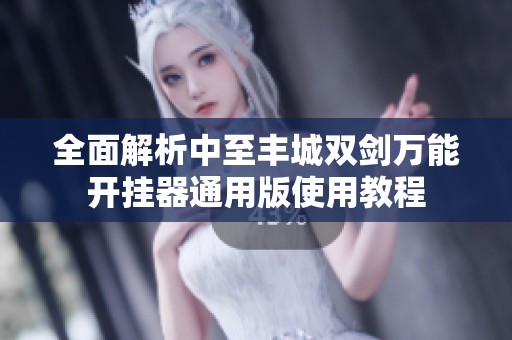 全面解析中至丰城双剑万能开挂器通用版使用教程