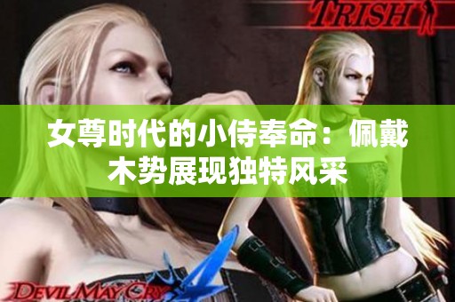 女尊时代的小侍奉命：佩戴木势展现独特风采