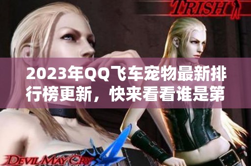 2023年QQ飞车宠物最新排行榜更新，快来看看谁是第一！