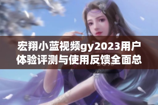 宏翔小蓝视频gy2023用户体验评测与使用反馈全面总结