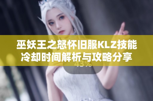 巫妖王之怒怀旧服KLZ技能冷却时间解析与攻略分享