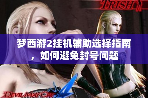 梦西游2挂机辅助选择指南，如何避免封号问题