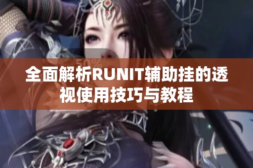 全面解析RUNIT辅助挂的透视使用技巧与教程