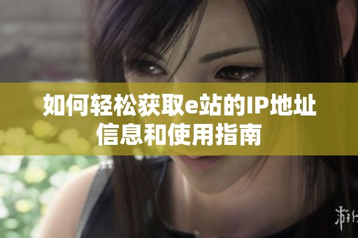 如何轻松获取e站的IP地址信息和使用指南