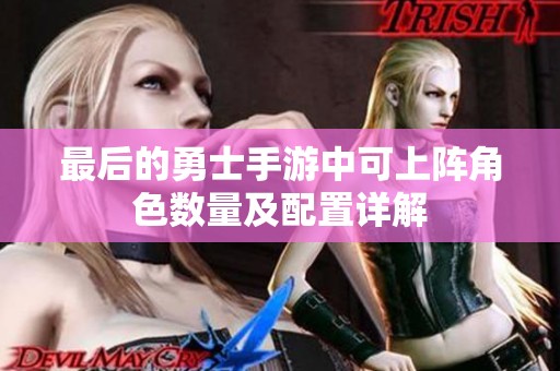 最后的勇士手游中可上阵角色数量及配置详解
