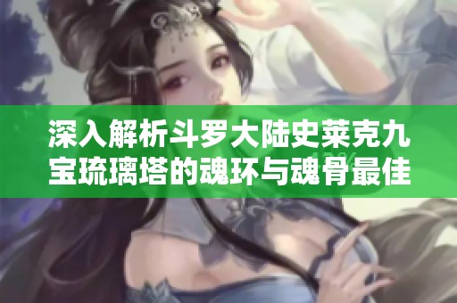 深入解析斗罗大陆史莱克九宝琉璃塔的魂环与魂骨最佳搭配策略