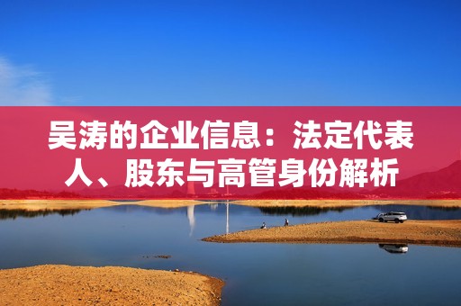 吴涛的企业信息：法定代表人、股东与高管身份解析
