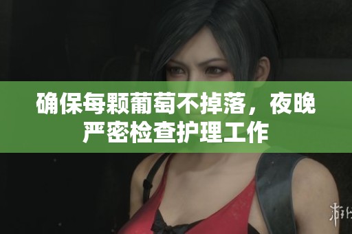 确保每颗葡萄不掉落，夜晚严密检查护理工作