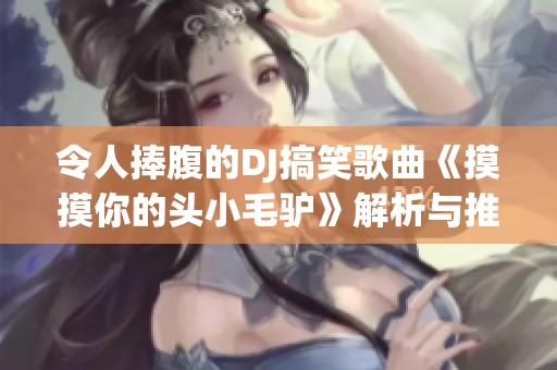 令人捧腹的DJ搞笑歌曲《摸摸你的头小毛驴》解析与推荐