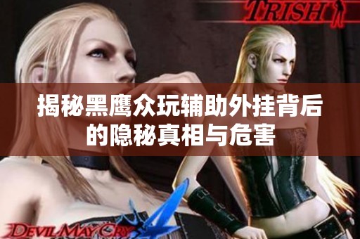 揭秘黑鹰众玩辅助外挂背后的隐秘真相与危害