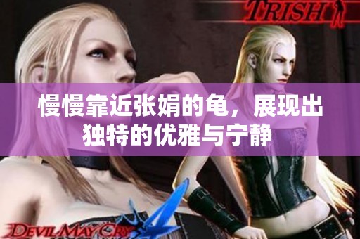 慢慢靠近张娟的龟，展现出独特的优雅与宁静 