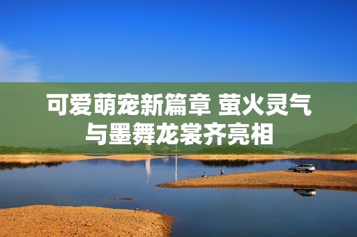 可爱萌宠新篇章 萤火灵气与墨舞龙裳齐亮相