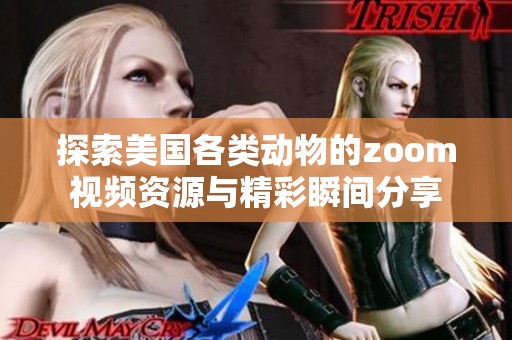 探索美国各类动物的zoom视频资源与精彩瞬间分享
