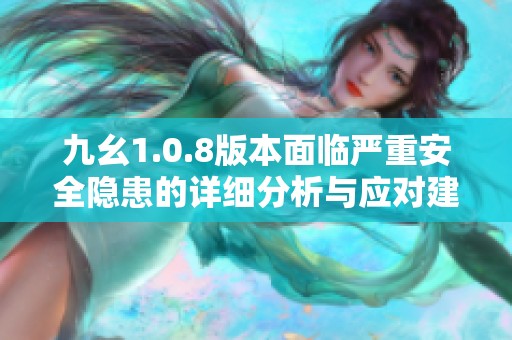 九幺1.0.8版本面临严重安全隐患的详细分析与应对建议