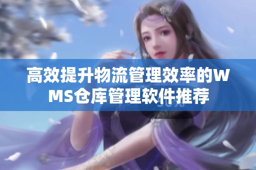 高效提升物流管理效率的WMS仓库管理软件推荐