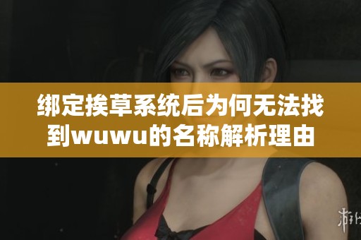 绑定挨草系统后为何无法找到wuwu的名称解析理由
