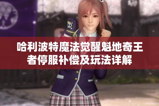 哈利波特魔法觉醒魁地奇王者停服补偿及玩法详解