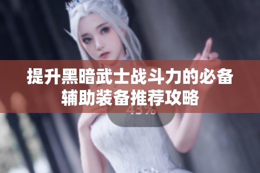 提升黑暗武士战斗力的必备辅助装备推荐攻略