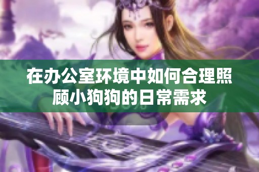 在办公室环境中如何合理照顾小狗狗的日常需求
